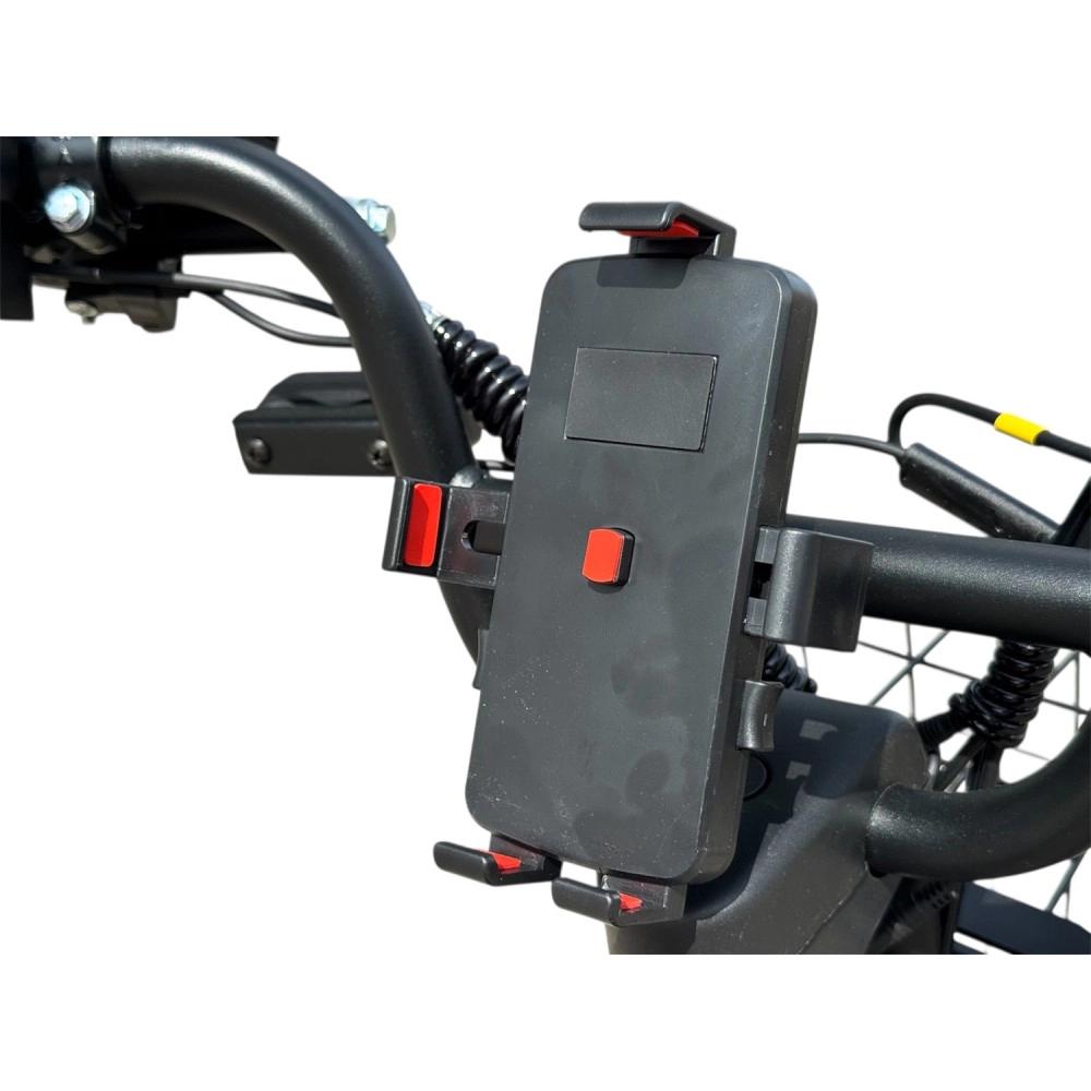 Электровелосипед SmartBalance Fiesta 10